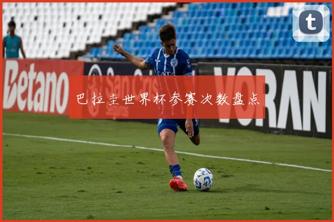 巴拉圭世界杯参赛次数盘点
