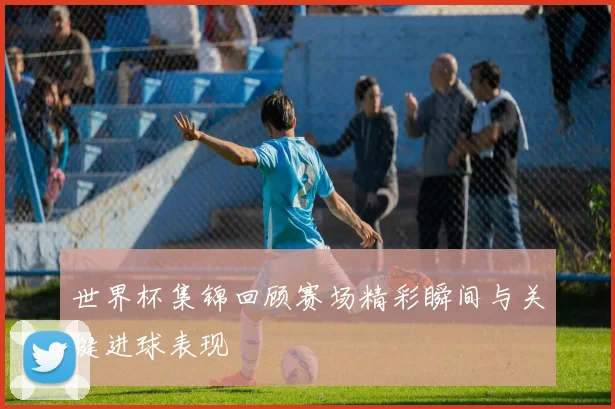 世界杯集锦回顾赛场精彩瞬间与关键进球表现