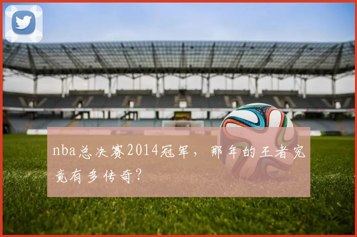 nba总决赛2014冠军，那年的王者究竟有多传奇？